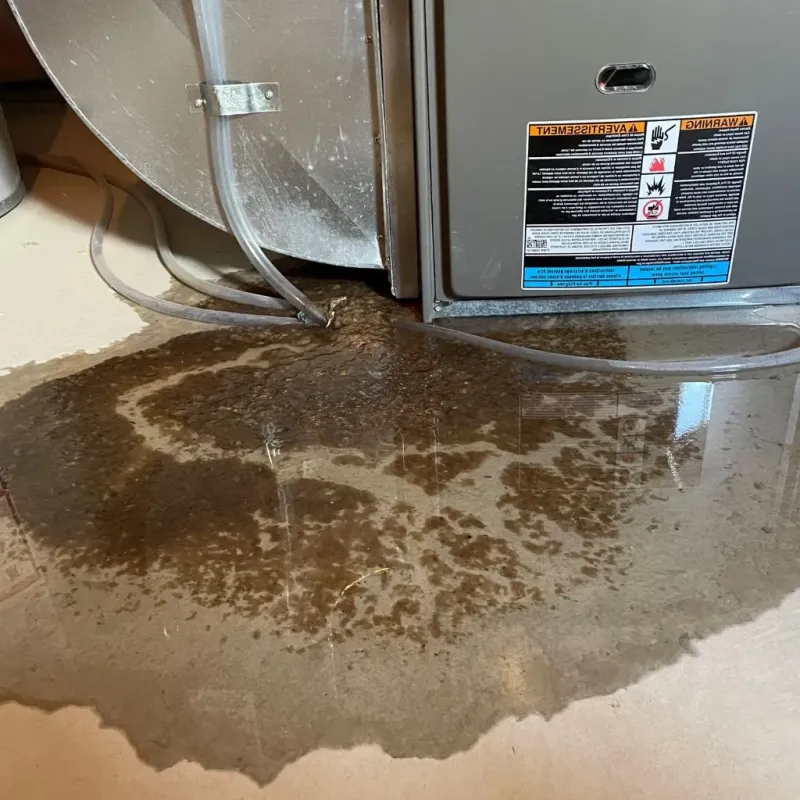 Pipe Burst and Leak Restoration in Crittenden County, KY