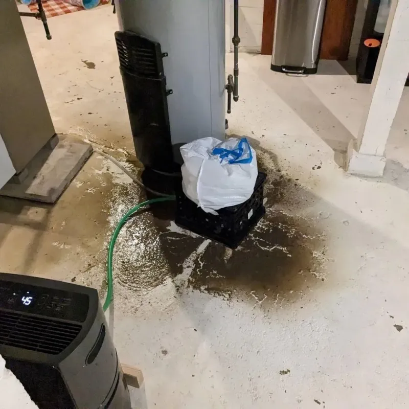 Sewage Backup Cleanup Service in Crittenden County, KY